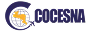 codensa